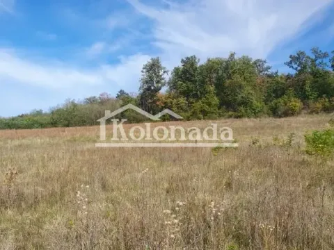 Prodaja, plac, 9500m², Parcani, Sopot - image 2
