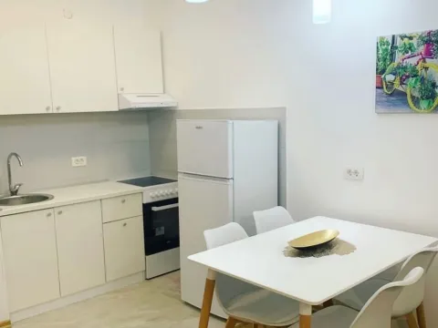 Izdavanje, garsonjera, 31m², Ljubović, Podgorica - image 4