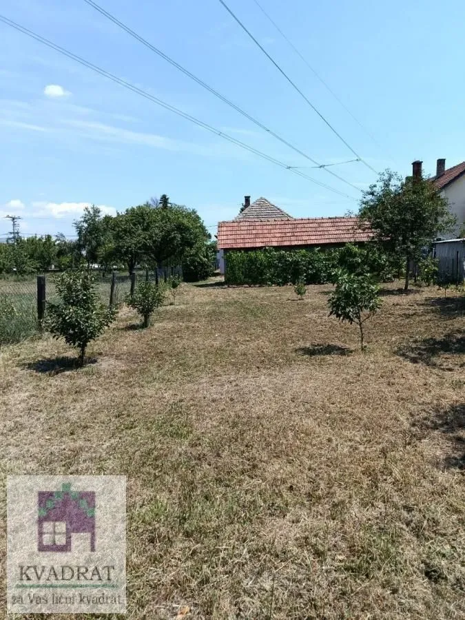 Pogled na prostrano dvorište sa voćnjakom i pomoćnim objektom.