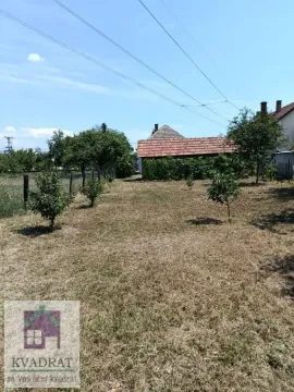 Pogled na prostrano dvorište sa voćnjakom i pomoćnim objektom. - image 6