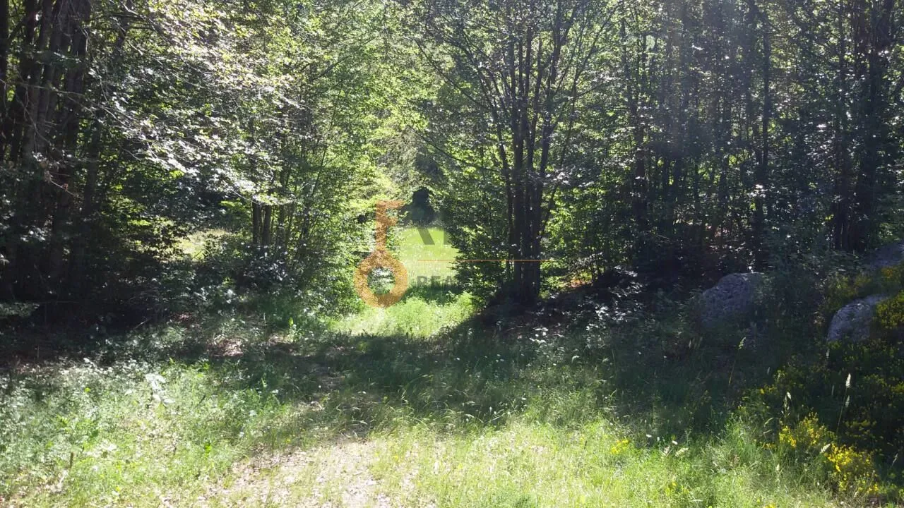 Prodaja, plac, 100000m², Cetinje, Crna Gora