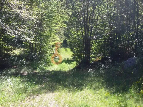 Prodaja, plac, 100000m², Cetinje, Crna Gora - image 4