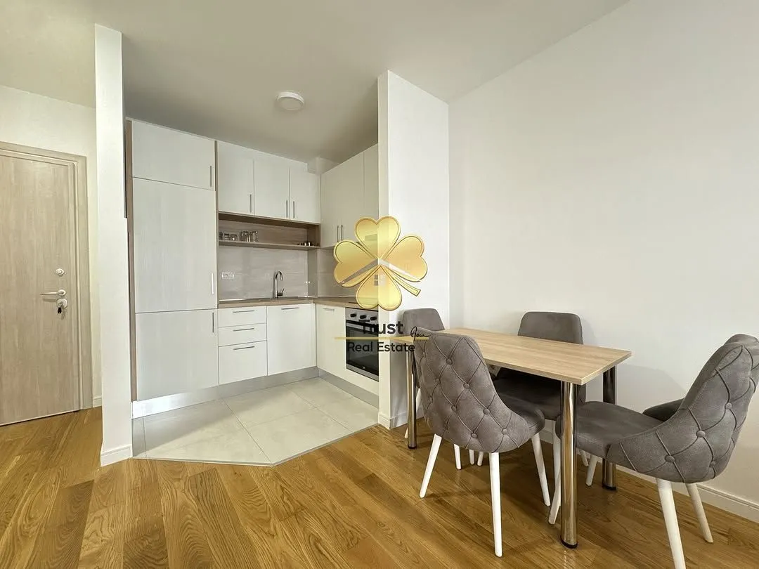 Rent, one bedroom apartment, 43m², Central Point, Podgorica