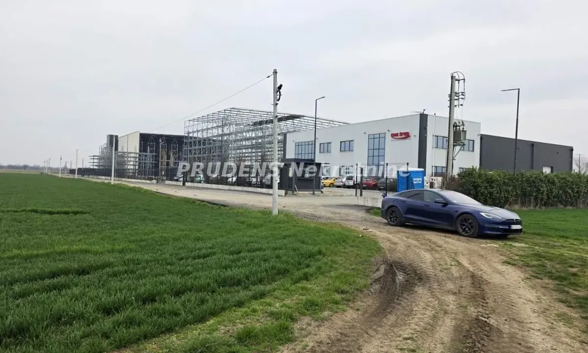 Sale, land lot, 22900m², Dobanovci, Surčin