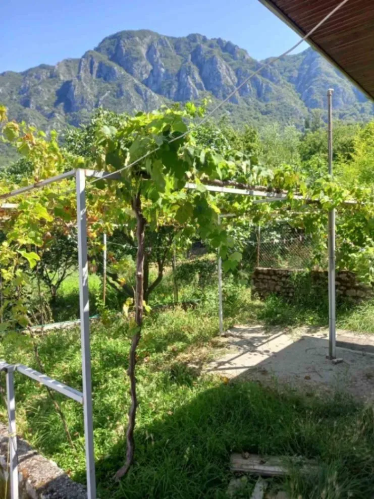 Prodaja, plac, 3660m², Crmnica, Podgorica