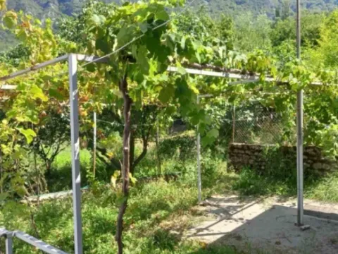 Prodaja, plac, 3660m², Crmnica, Podgorica - image 4