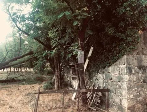 Prodaja, plac, 3025m², Velje Brdo, Podgorica - image 2