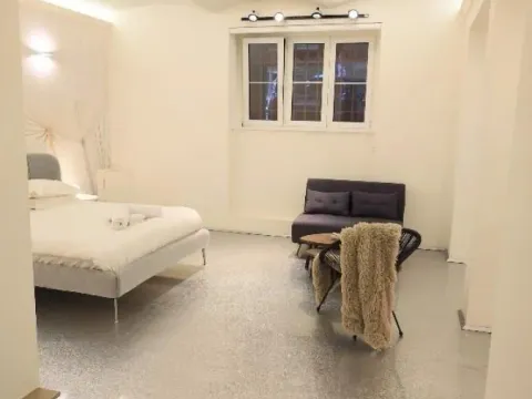 Izdavanje, jednosoban stan, 53m², Stari Grad, Beograd - image 3