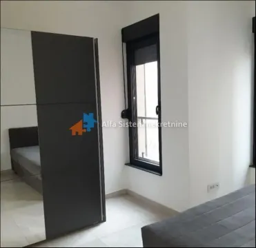 Rent, three bedroom apartment, 55m², Južni Bulevar, Vračar Sve Podlokacije - image 7