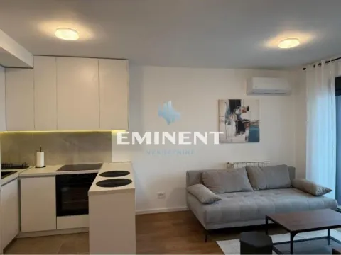 Izdavanje, dvosoban stan, 41m², Hala Pionir, Palilula Sve Podlokacije - image 3