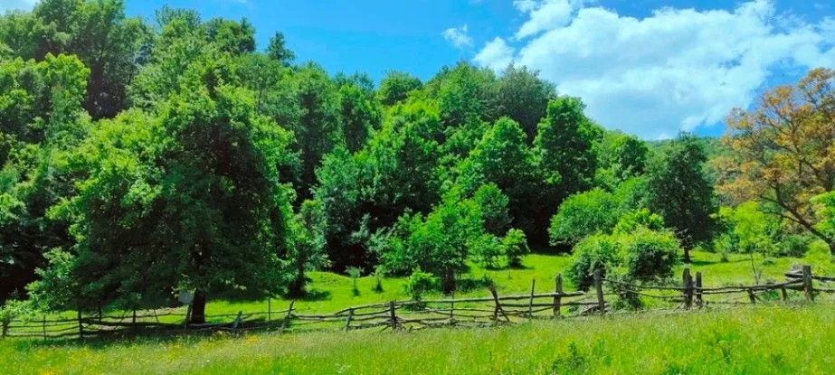 Prodaja, plac, 30140m², Ulotina, Andrijevica