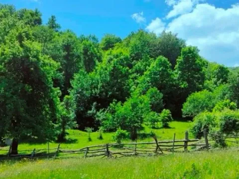 Sale, land lot, 30140m², Ulotina, Andrijevica - image 4