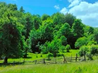 Sale, land lot, 30140m², Ulotina, Andrijevica - image 4