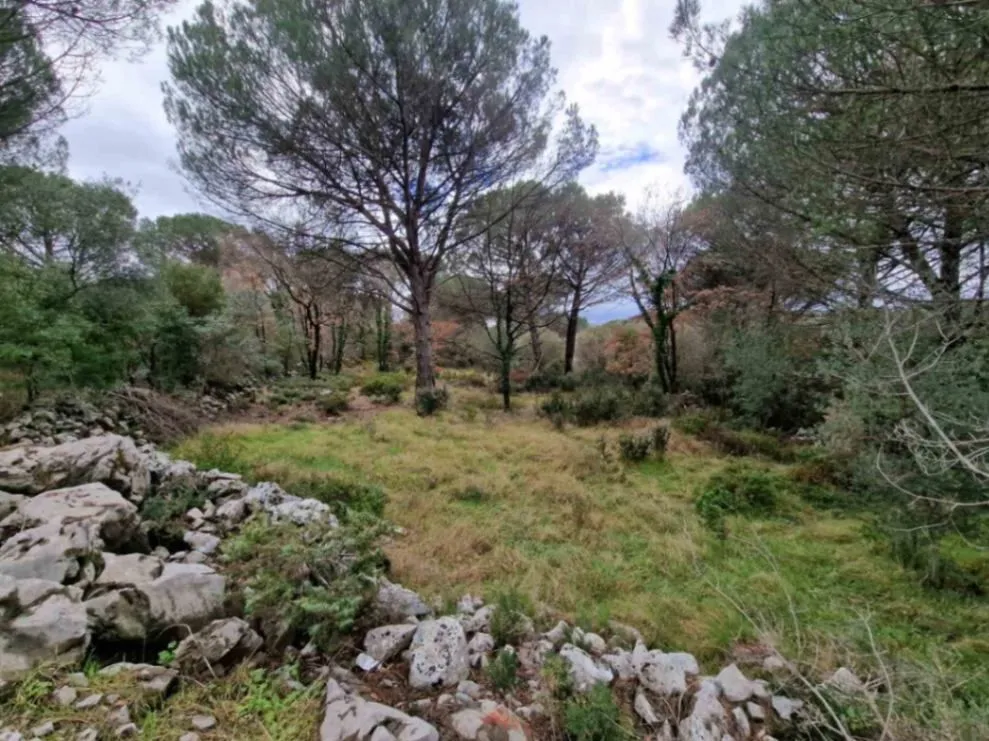 Prodaja,  zemljište, 1150m2, Zagora, Kotor