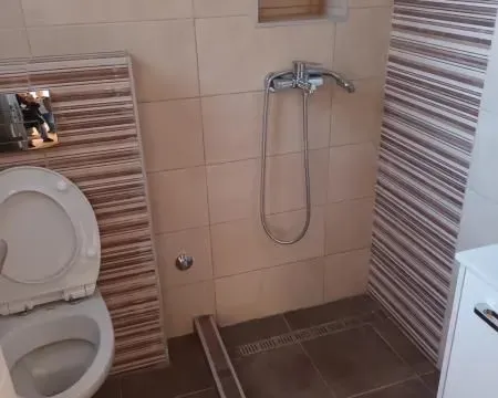 Izdavanje, kuća, 180m², Savski Venac, Beograd - image 12