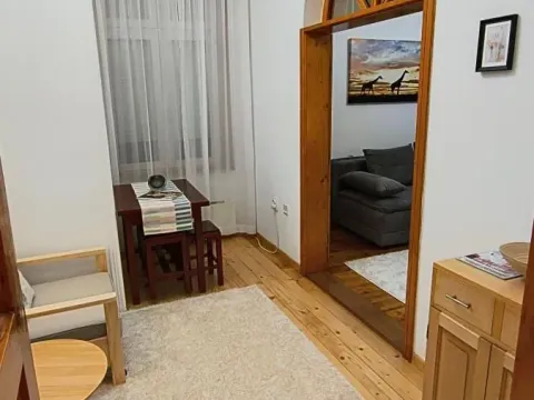 Izdavanje, jednosoban stan, 35m², Stari Grad, Beograd - image 12