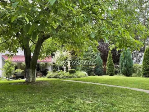 Prodaja, kuća, 280m², Sremska Kamenica, Petrovaradin - image 15