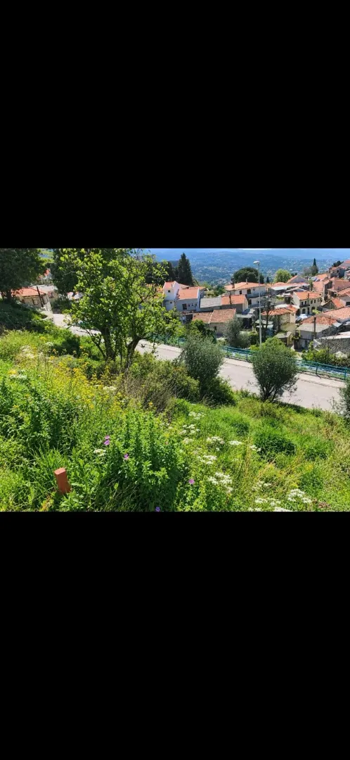 Pogled na zeleno dvorište i okolno naselje sa putem.