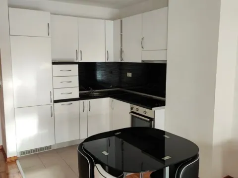 Izdavanje, jednosoban stan, 47m², Tološka šuma, Podgorica - image 3