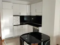Izdavanje, jednosoban stan, 47m², Tološka šuma, Podgorica - image 3