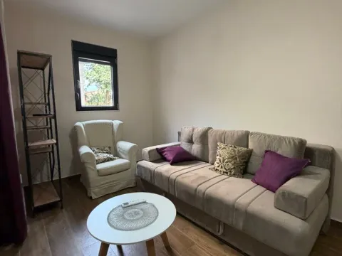 Izdavanje, jednosoban stan, 40m², Kruševac, Podgorica - image 3