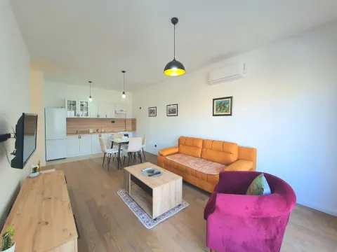 Rent, one bedroom apartment, 46m², Donja Gorica, Podgorica - image 2