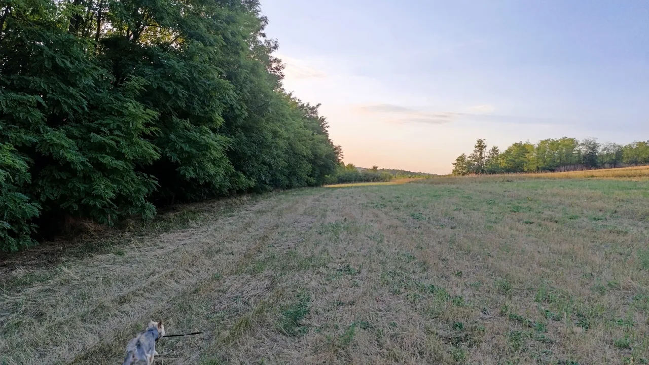 Sale, land lot, 5678m², Centar, Topola