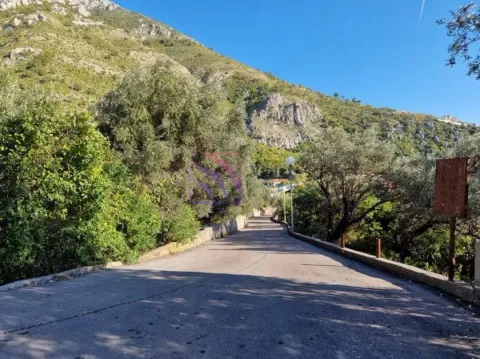 Asfaltni put okružen zelenilom i drvećem ispred brda. - image 6