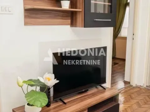 Izdavanje, dvosoban stan, 57m², Zeleni Venac, Beograd - image 4