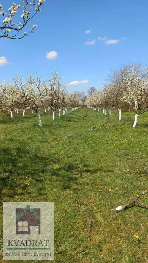 Prodaja, plac, 5800m², Banjani, Ub