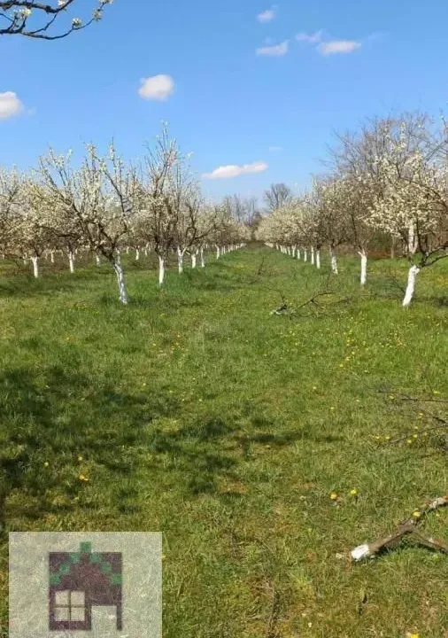 Prodaja, plac, 58m², Banjani, Ub