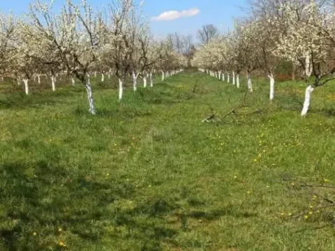 Prodaja, zemljište, 58m2, Banjani, Ub Prodaja, zemljište, 58m2, Banjani, Ub