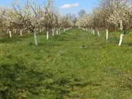 Prodaja, plac, 58m², Banjani, Ub - image 1