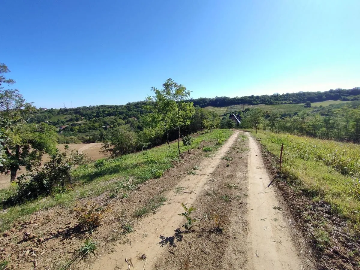 Prodaja, plac, 700m², Sremska Kamenica, Petrovaradin