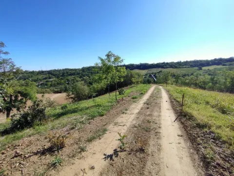 Prodaja, plac, 700m², Sremska Kamenica, Petrovaradin - image 15