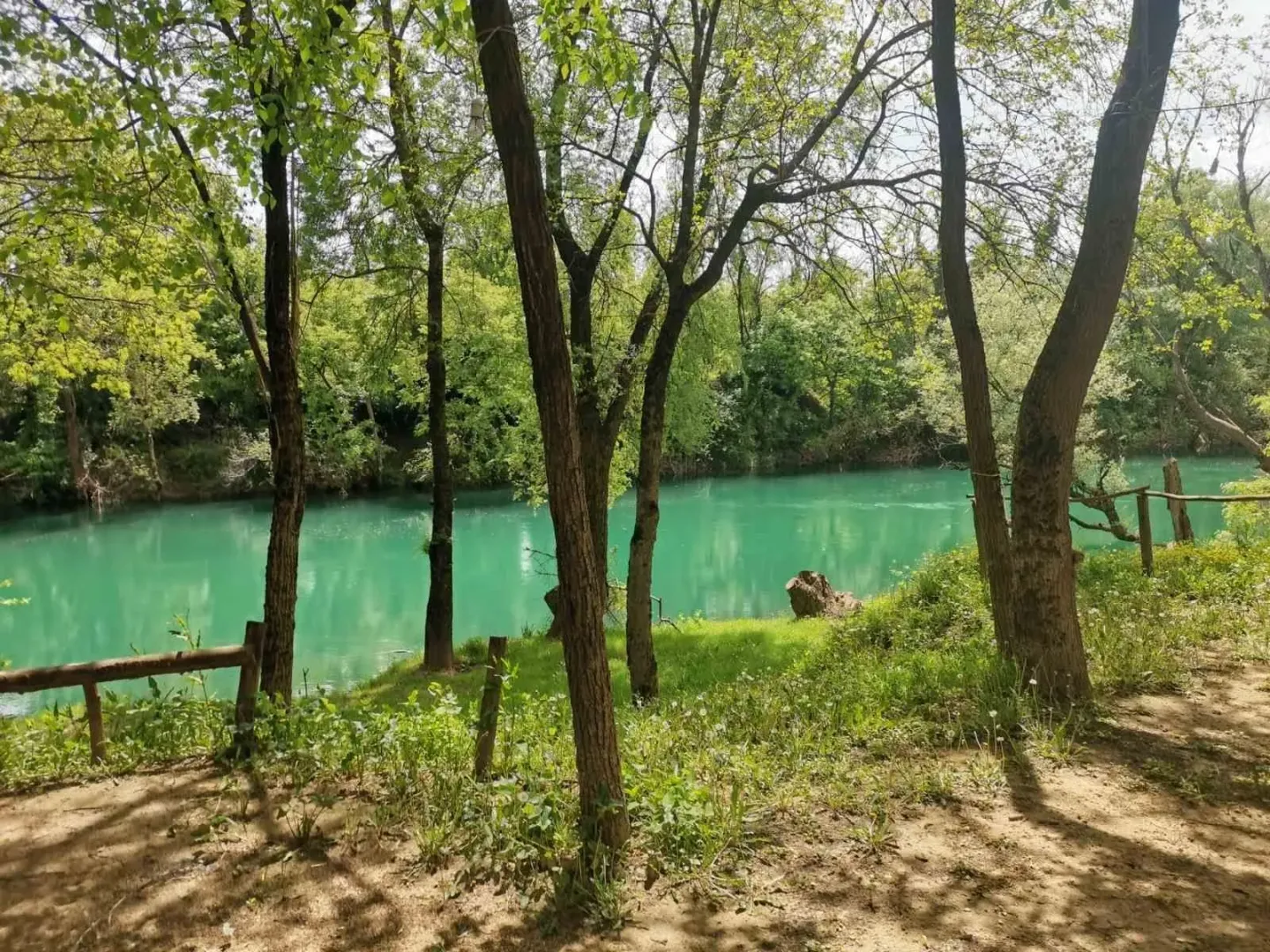 Pogled na rijeku sa placa okruženog drvećem.