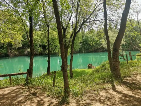 Pogled na rijeku sa placa okruženog drvećem. - image 4