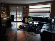 Izdavanje, poslovni prostor, 400m², Čenej, Novi Sad Sve Podlokacije - image 22