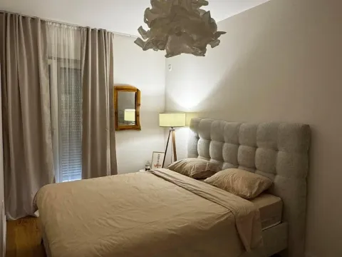 Izdavanje, jednosoban stan, 40m², Central Point, Podgorica - image 4