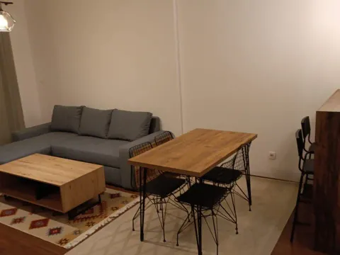 Rent, one bedroom apartment, 55m², Master Kvart, Podgorica - image 2