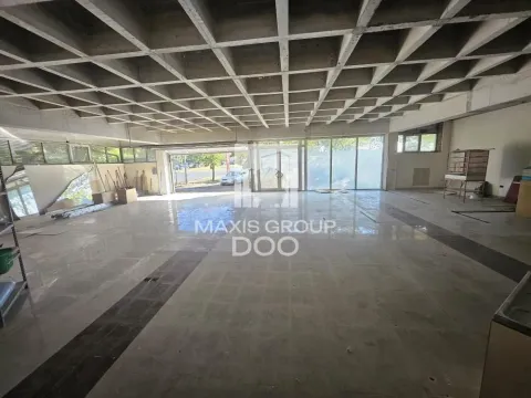 Rent, office space, 248m², Novi Beograd Sve Podlokacije, Beograd - image 2