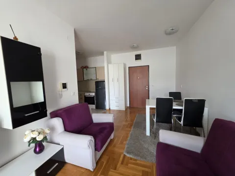 Rent, one bedroom apartment, 45m², Budva, Crna Gora - image 2