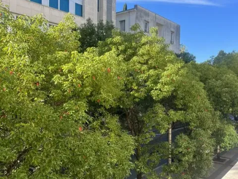 Rent, office space, 75m², Centar, Podgorica - image 10