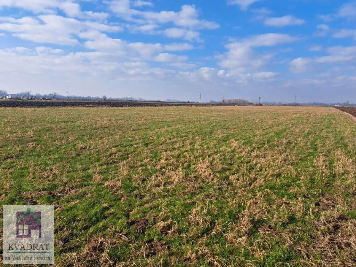 Prodaja, plac, 6500m², Zvečka, Obrenovac