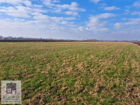 Prodaja, plac, 6500m², Zvečka, Obrenovac - image 5