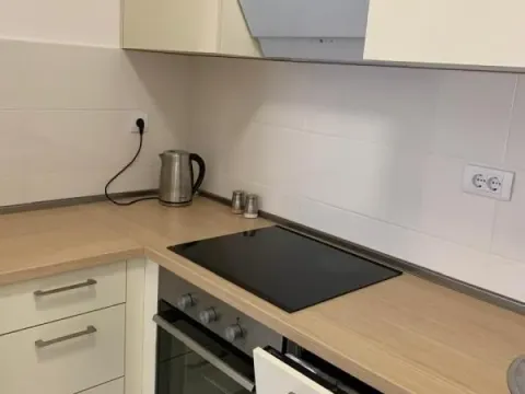 Sale, one bedroom apartment, 46m², Lazi, Budva - image 10