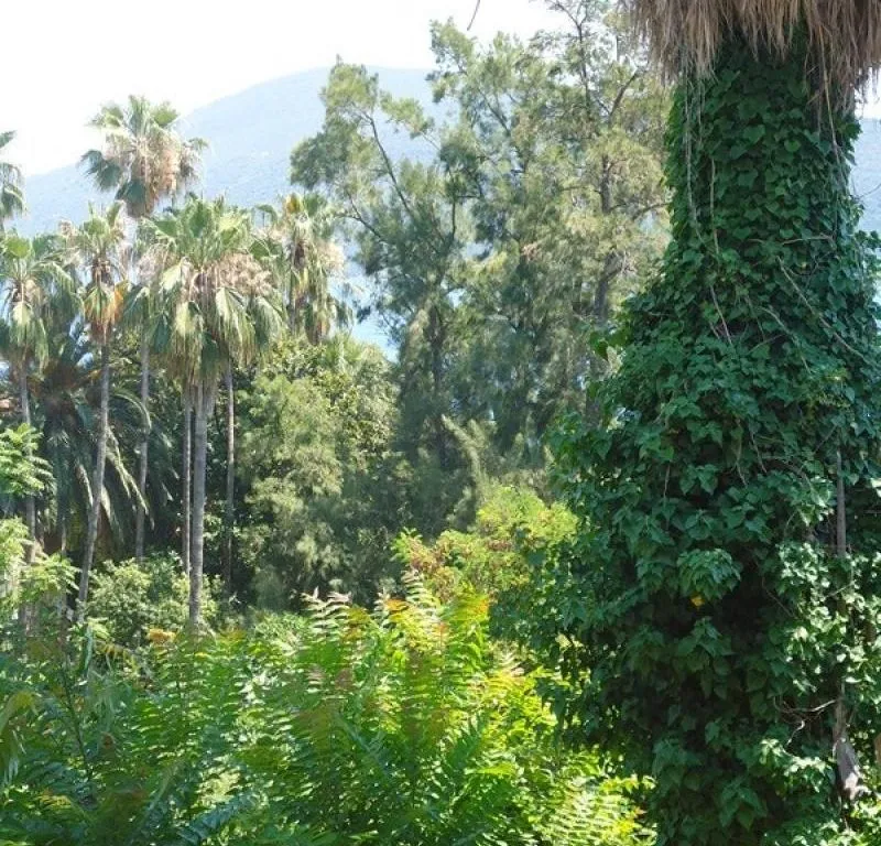 Prodaja, kuća, 160m², Centar, Herceg Novi
