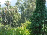 Prodaja, kuća, 160m², Centar, Herceg Novi - image 3