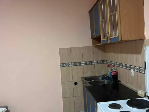Izdavanje, jednosoban stan, 45m², Zagorič, Podgorica - image 6