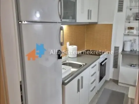 Izdavanje, dvosoban stan, 45m², Vračar Sve Podlokacije, Beograd - image 6